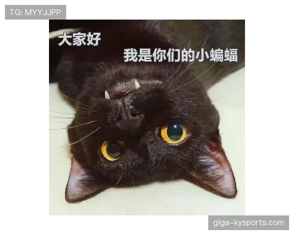 马琳赛场上严厉训话，场下居然成了“爱宠狂魔”，谁能想到他家那只猫比他还要享受人生？